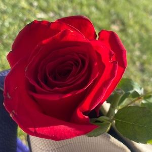 Meet your Posher, Reem